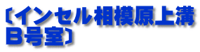 〔インセル相模原上溝 B号室〕