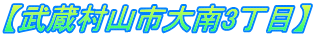 【武蔵村山市大南3丁目】