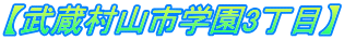 【武蔵村山市学園3丁目】